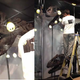 Illustration for article titled Creation Museum To Display Dinosaur That "Proves" Biblical Flood
